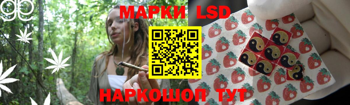 Шелехов  Лсд 25 экстази кислота  Вход с VPN  Лсд 25 экстази  blacksprut ссылки  Лсд 25 экстази кислота 